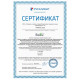 Кондиционер Ballu Platinum Evolution BSUI-12HN8_23Y